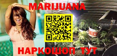 сатива Краснознаменск