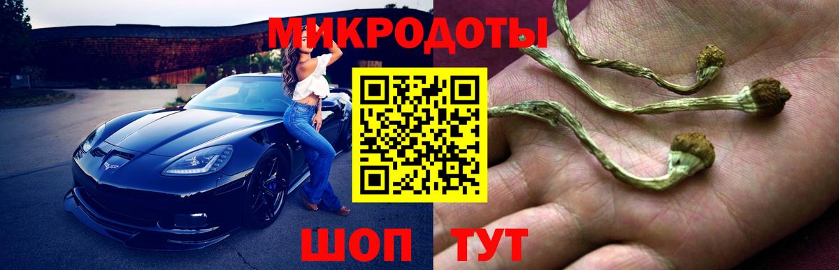 Галлюциногенные грибы Psilocybine cubensis  Вход с VPN  Галлюциногенные грибы ЛСД  Саров 